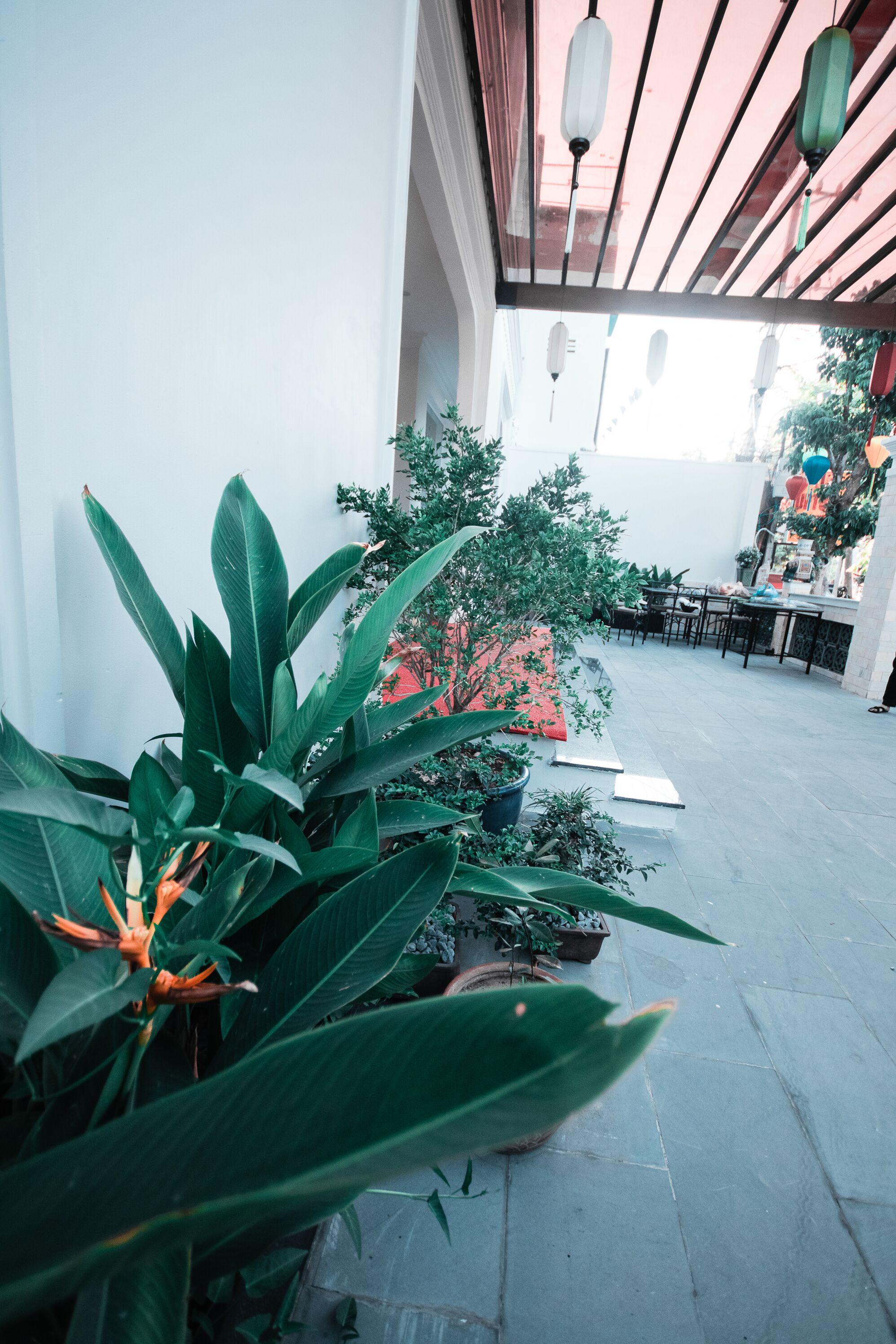 Uptown Hoi An Hotel & Spa Екстериор снимка